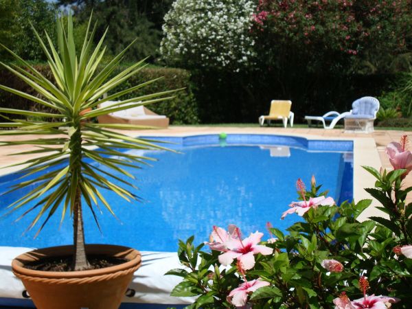 Cost of Pool Terrace Renovation in Noblesville